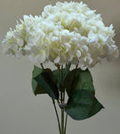 18" 5 6 " Ivory Hydrangea Roses - Party and floral