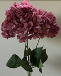 18" 5 6 " Mauve Hydrangea Roses - Party and floral